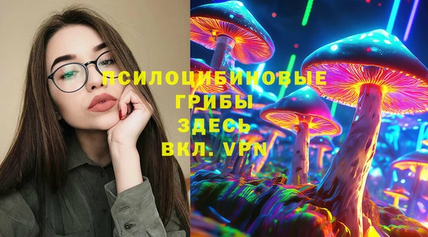 a pvp Алзамай