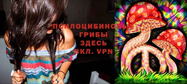 метамфетамин Алексеевка